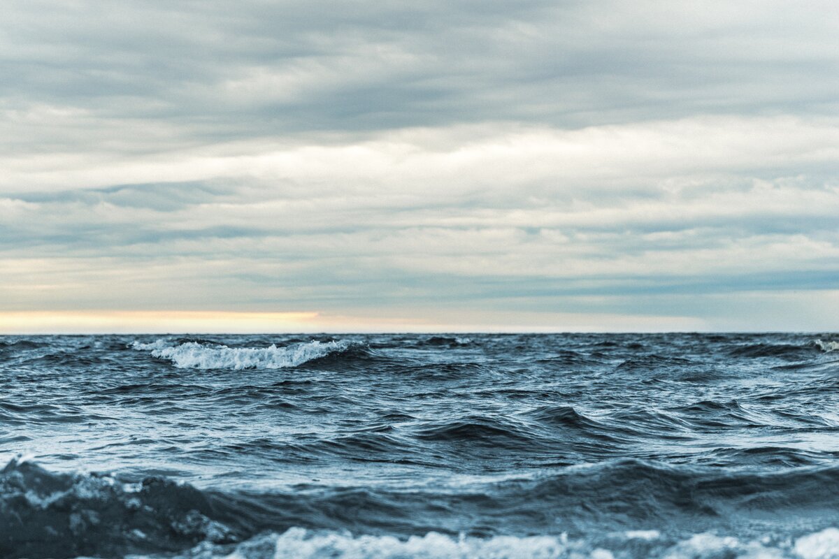 Photo by Ant Rozetsky on Unsplash