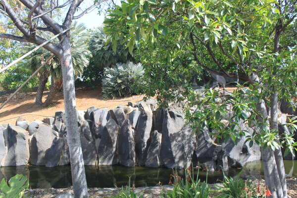 Palmetum