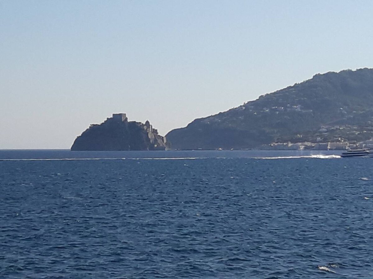 виды с парома