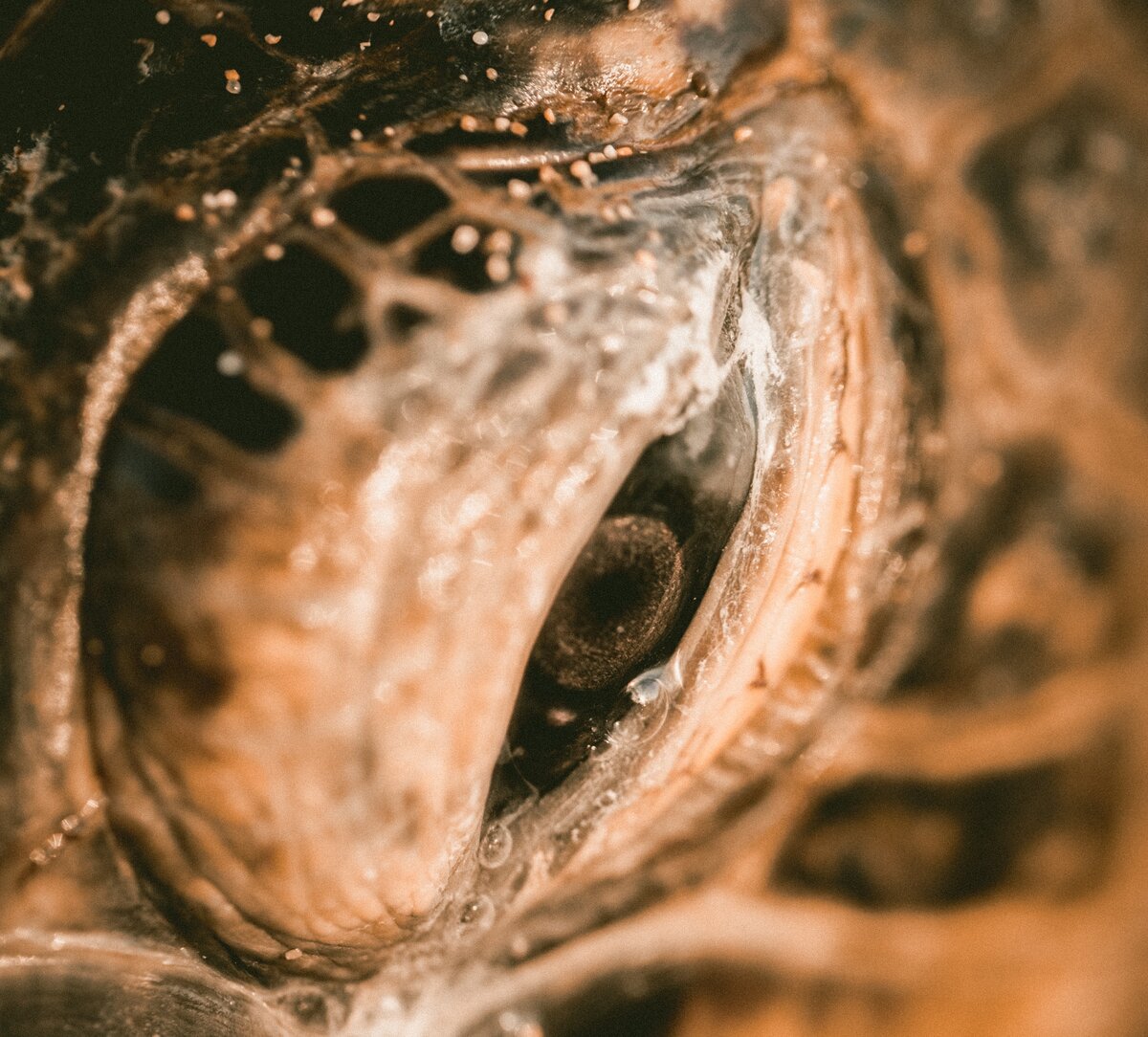 Изображение взято с сайта https://unsplash.com/