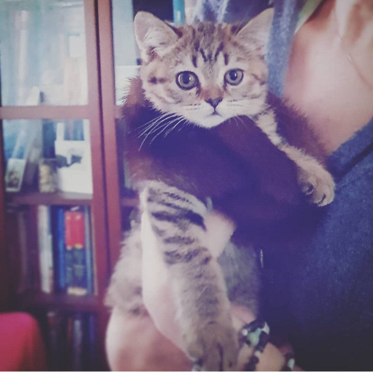 Но своя шубка показалась симпатичней: