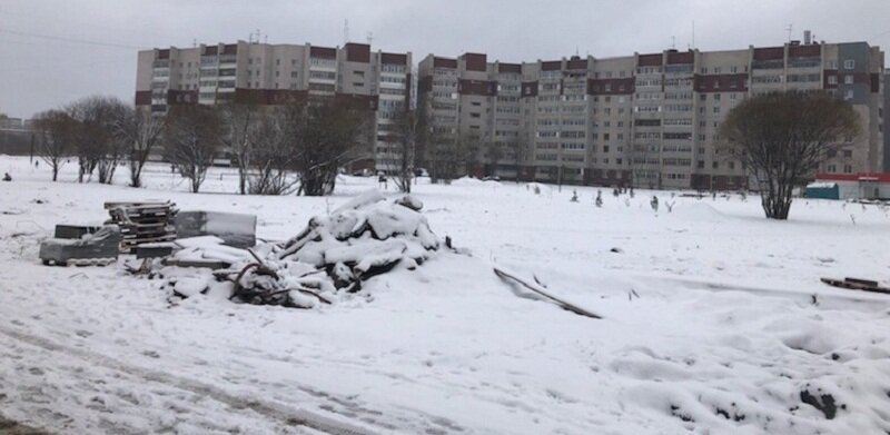 Фото: группа ВК Фрязиновский парк