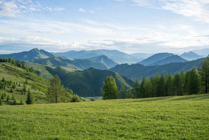 Природа горного Алтая панорама