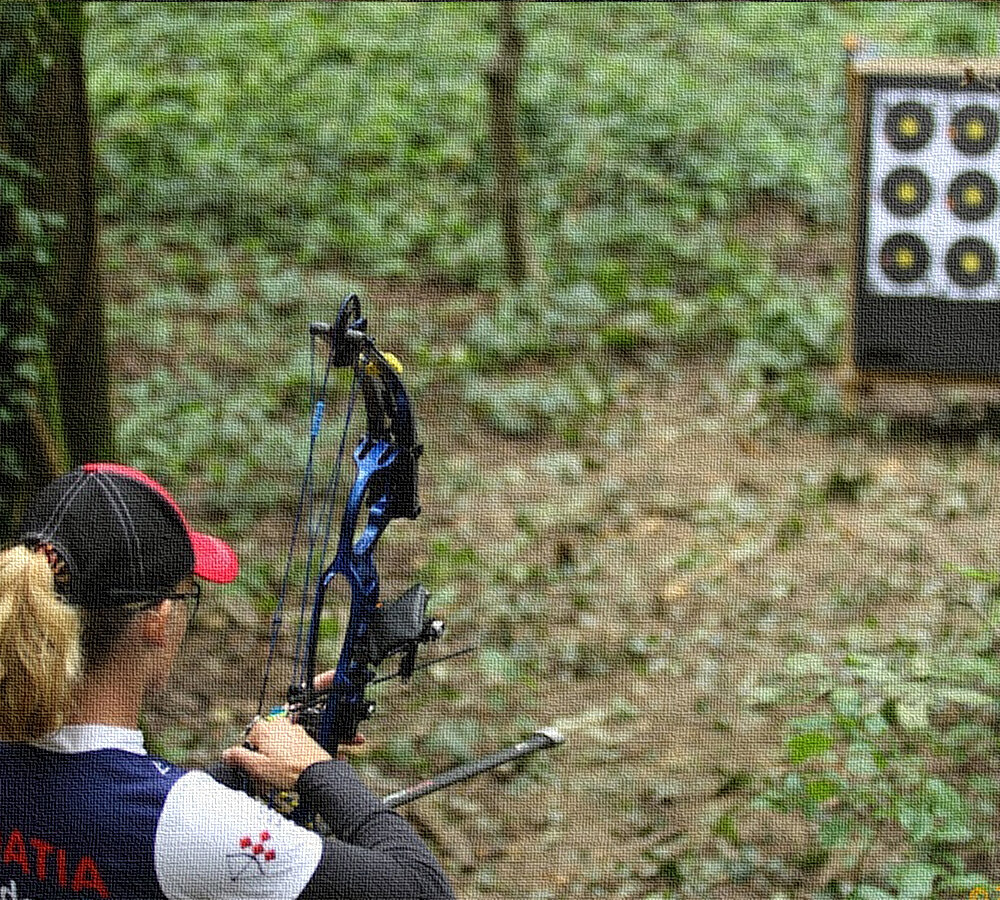 Archery стрельба из лука