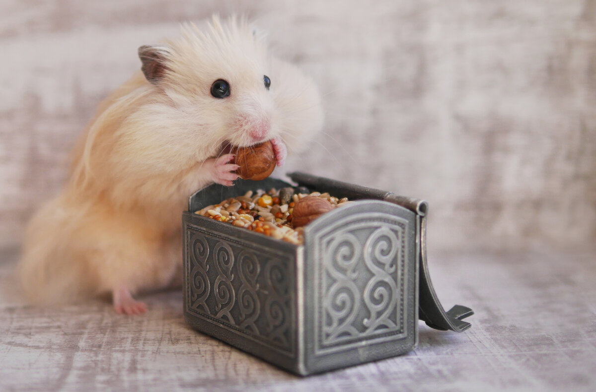 Источник фото: depositphotos.com