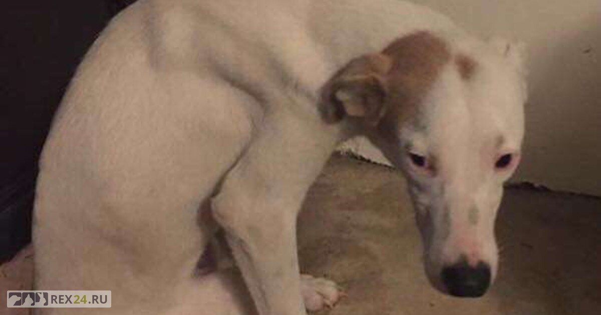 Фото: соцсети