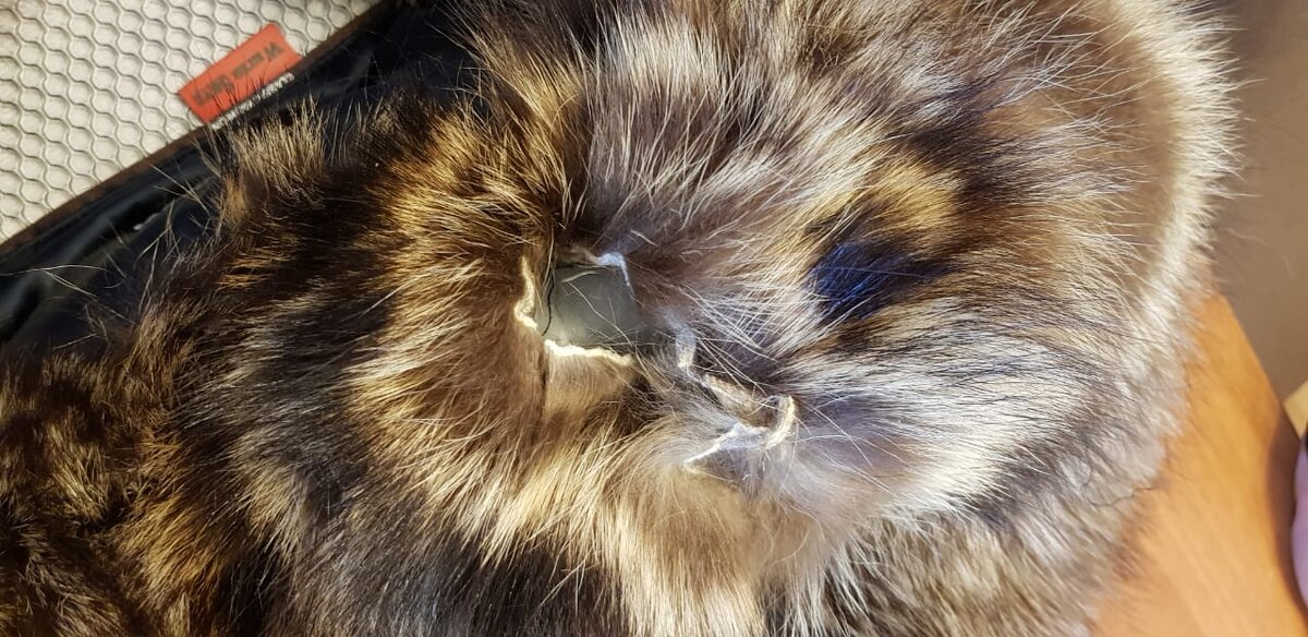 Дыра на капюшоне