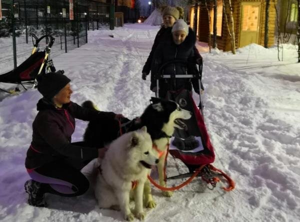  Надежда Хабаза / КРАСНЫЙ СЕВЕР