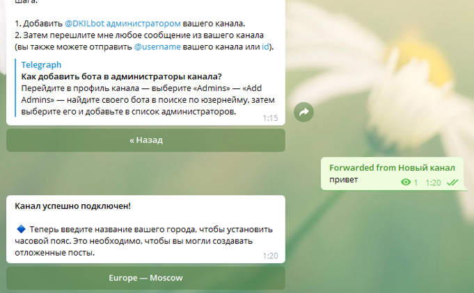Подключение бота. Как добавить бота в администраторы канала. как добавить бота в телеграмме на канал. как подключить бота в телеграмме. как добавить бота в администраторы канала telegram.
