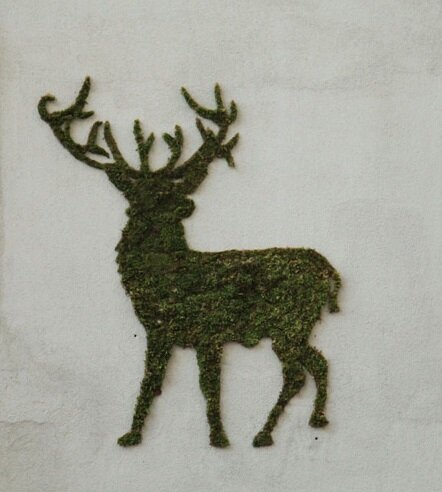 
Фото: Эко-граффити 