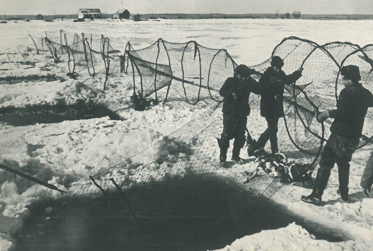 По плану бригада рыбаков должна была наловить 1980 тонн рыбы фактически было выполнено 105 плана