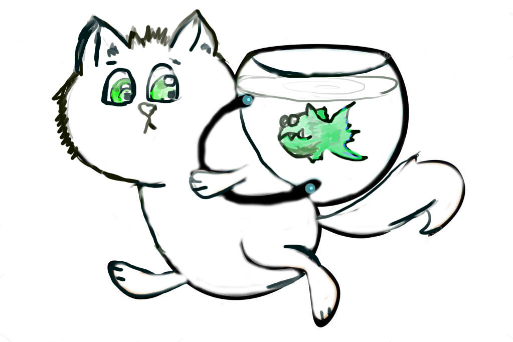 Кот видео. Скизи мазанкин кот начало. Скизи мазанкин дзен кот. Кот скизи. Скизи кот.