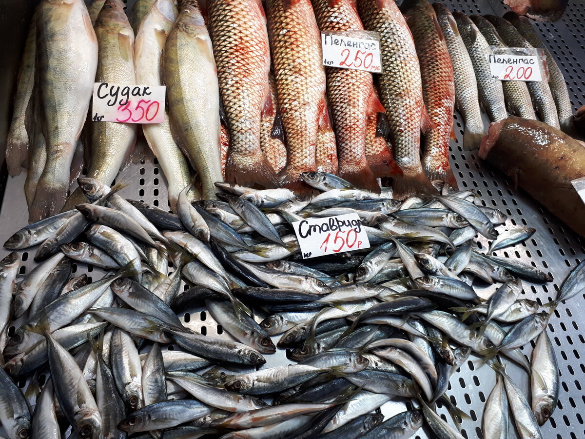 Где можно купить свежий рыба. Рыбы которые продаются в магазинах. Рыбный рынок в Геленджике. Свежая Черноморская рыба. Рыба свежая в Рыбном названия.