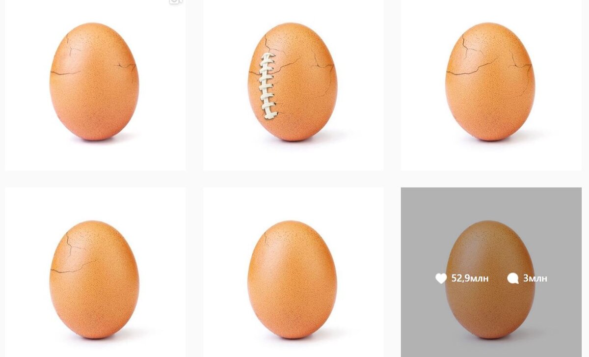 https://www.instagram.com/world_record_egg