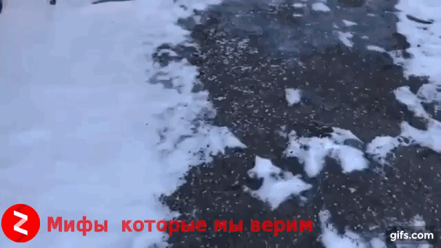 Gif собственного производства