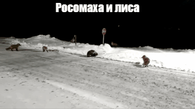 Фрагмент из видео ютюб