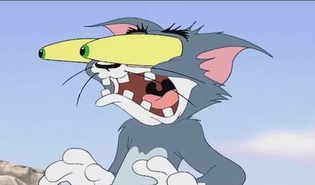 Фото взято из открытого доступа