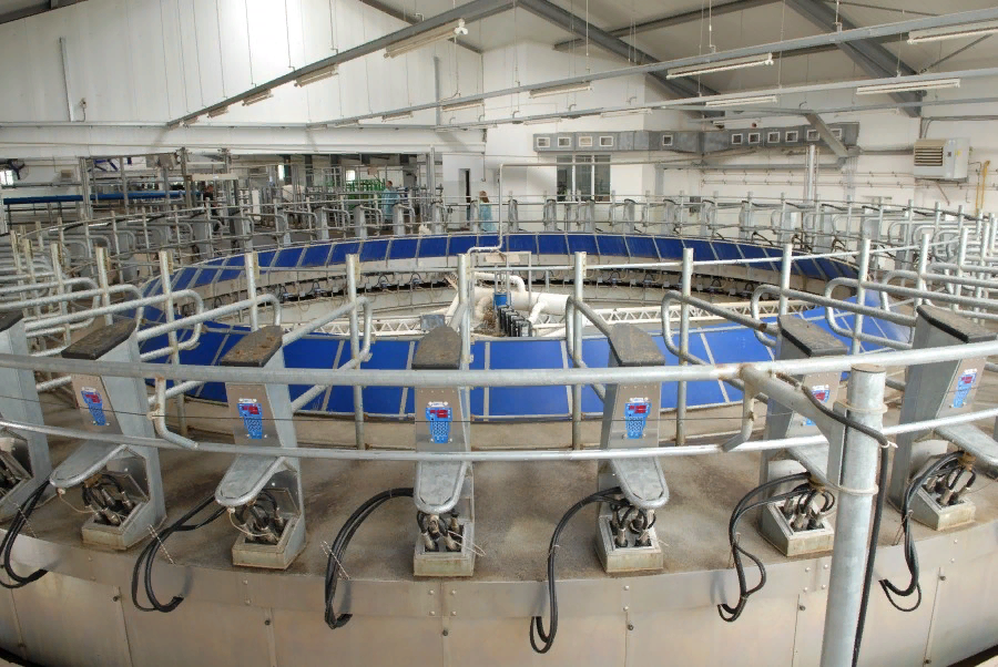 (Источник фото - agronomu.com)