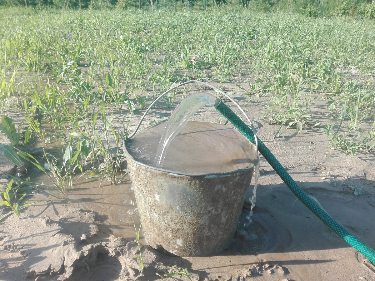 скважин чист