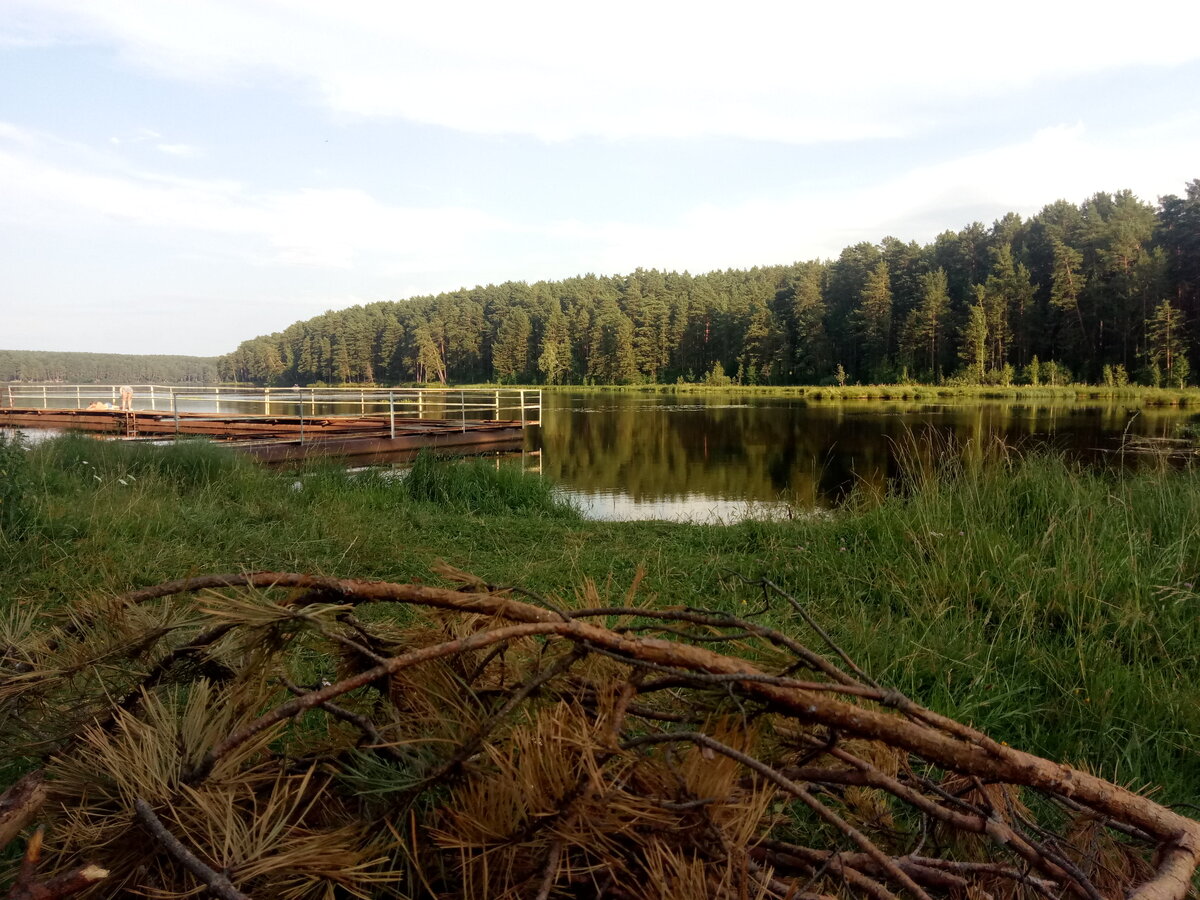 Природа Свердловской области