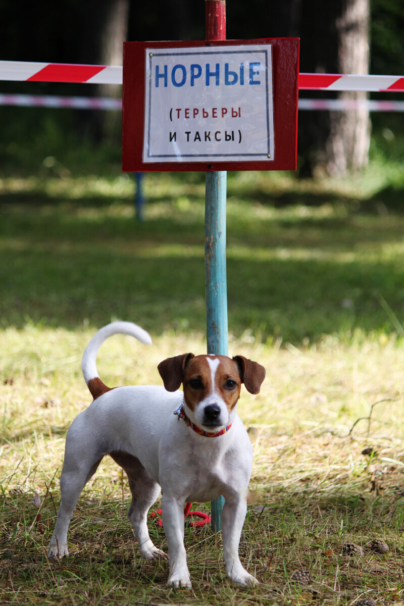 на выставке по рабочему классу