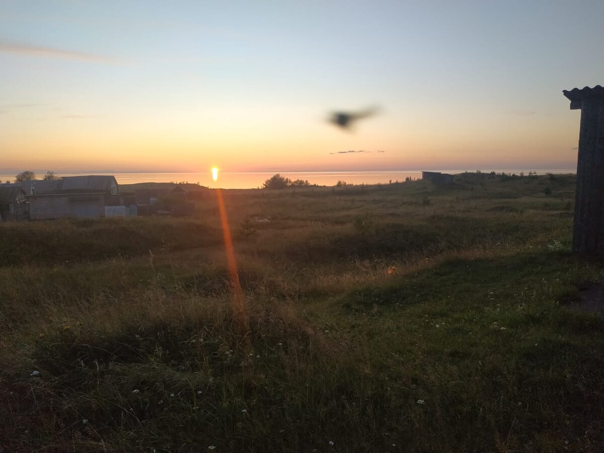 Подарок от Николая Гилярова