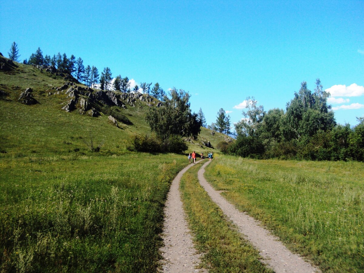 Окрестности. Кисловодск рельеф города. Обои венский лес. Окрестности кисловодска. Кисловодск природа фото.