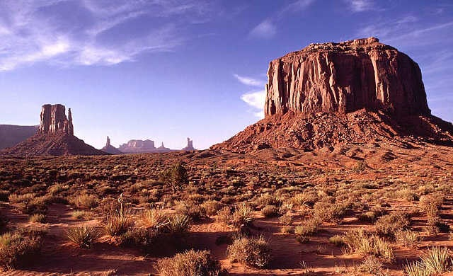 Пустыня Аризоны