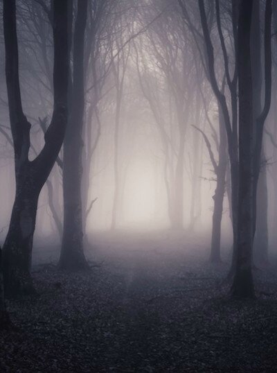 Фото взято из открытого источника