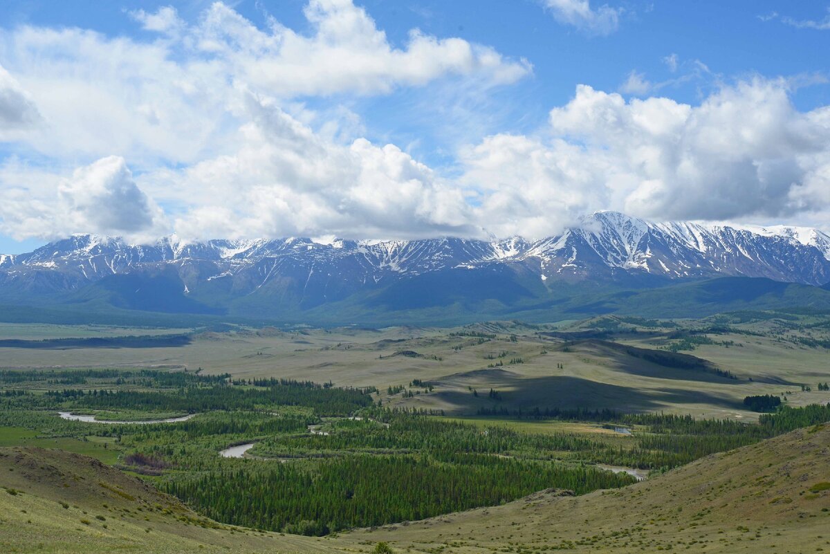 Курайская степь Актру горный Алтай