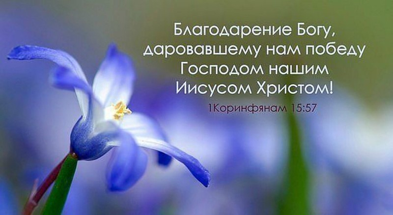 Картинка взята из общего и свободного доступа в интернет