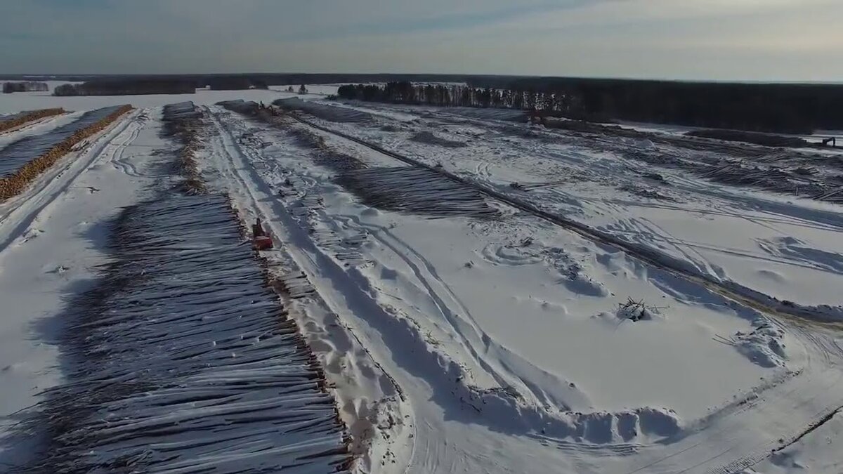 Русский лес