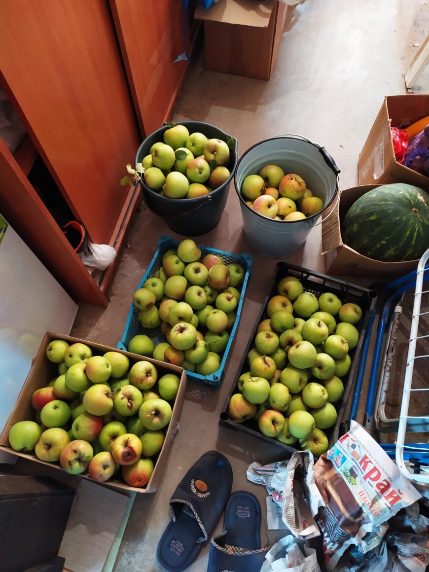 Первый урожай)