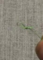 Делается такая оснастка очень легко, для этого нам понадобится леска, плетенка или поводочный материал, я использую плетенку. Продеваем конец лески в крючок со стороны жала, протаскиваем его дальше по леске, он нам пока не нужен, на конце плетенки делаем как можно меньшего размера петлю
