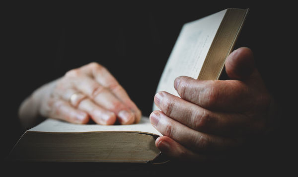 Фото было взято с сайта - lv.baltnews.com