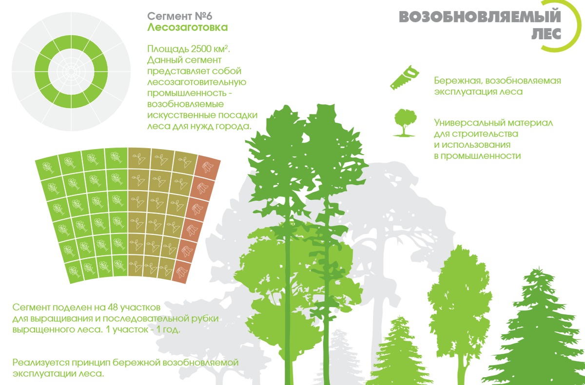 Сегмент №6 Лесозаготовка