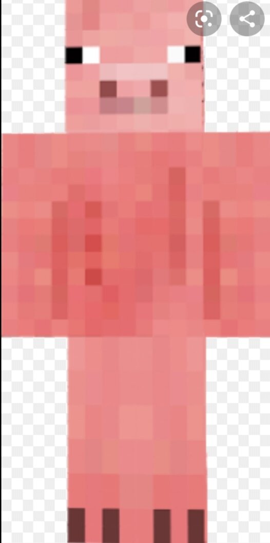 Следующий удалёный  моб это человек он был добавлен в самых первых версиях маинкрафт он бегал и махал руками, он был удалён в последуйщих версиях. 