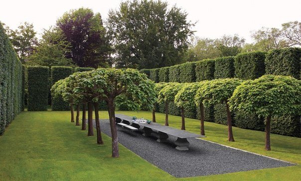 Сад изувеченных и искалеченных деревьев