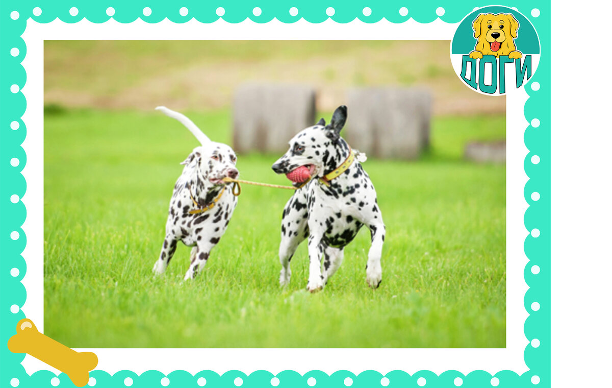 На воспитательной прогулке. Фото в свободном досупе