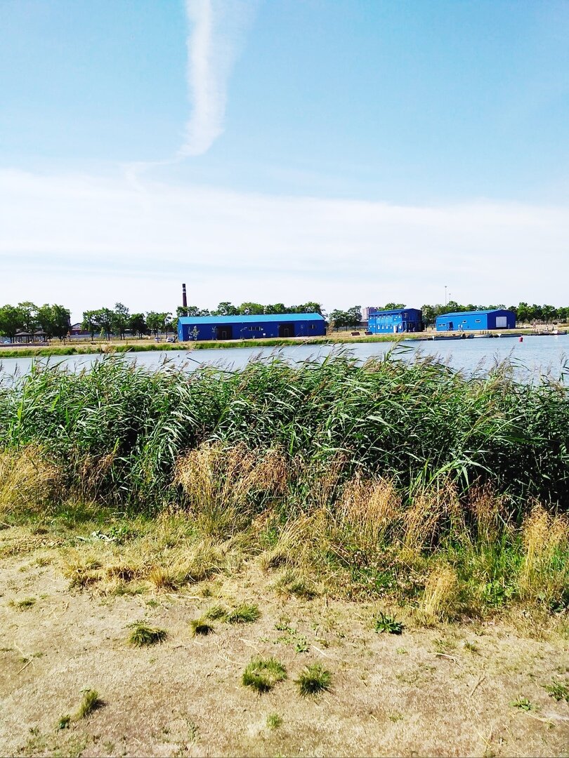 На берегу карьера. Фото автора.