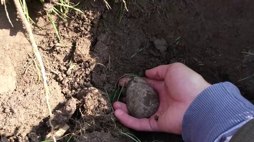 Нашёл Большие Деньги! Денег в Земле Полно, только нужно Искать