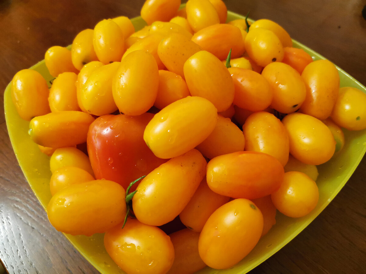 Всегда хочется иметь на столе только здоровые помидоры