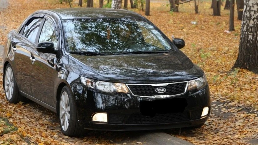 фото: Яндекс картинки