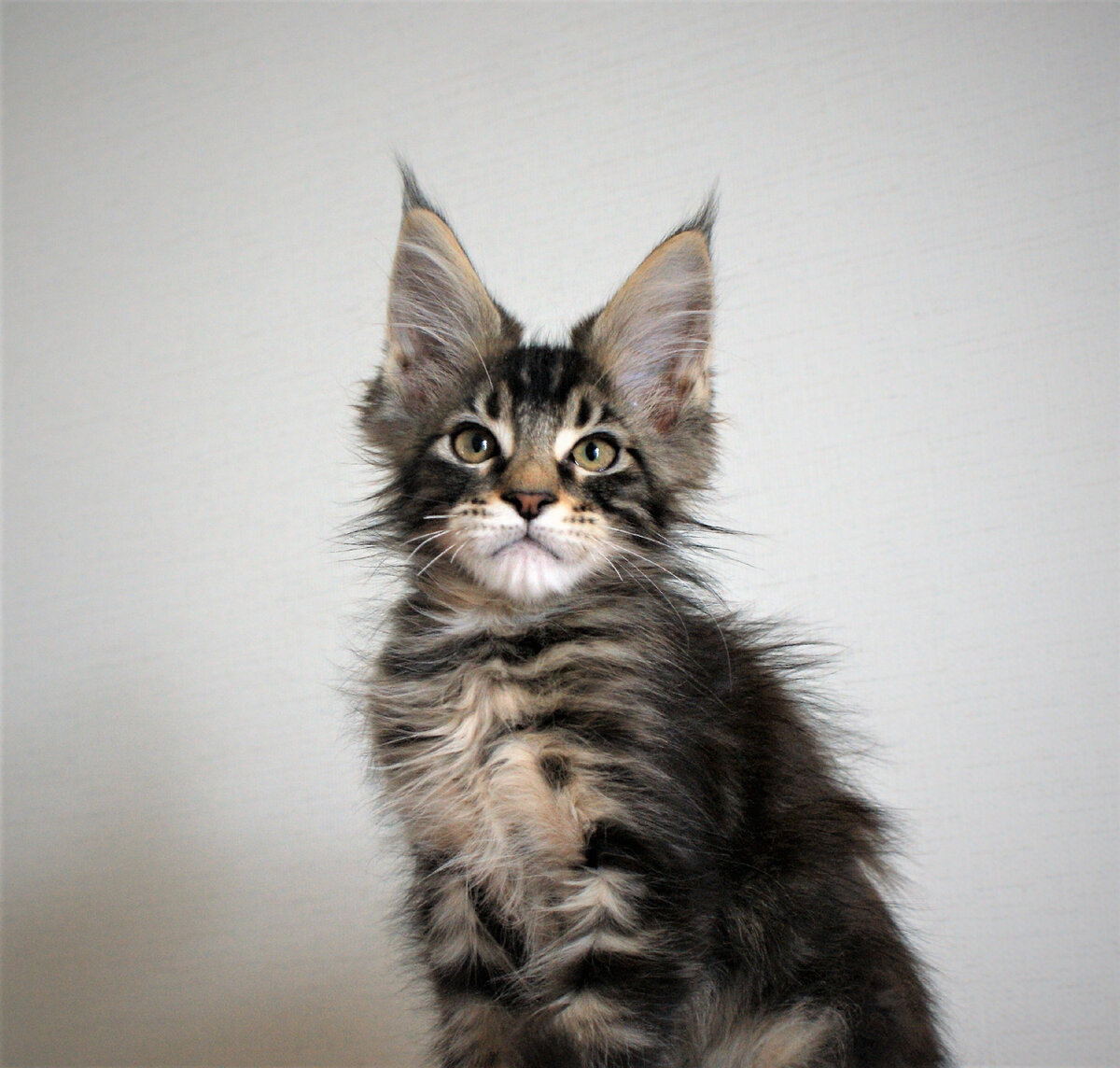 Фото из личного архива.