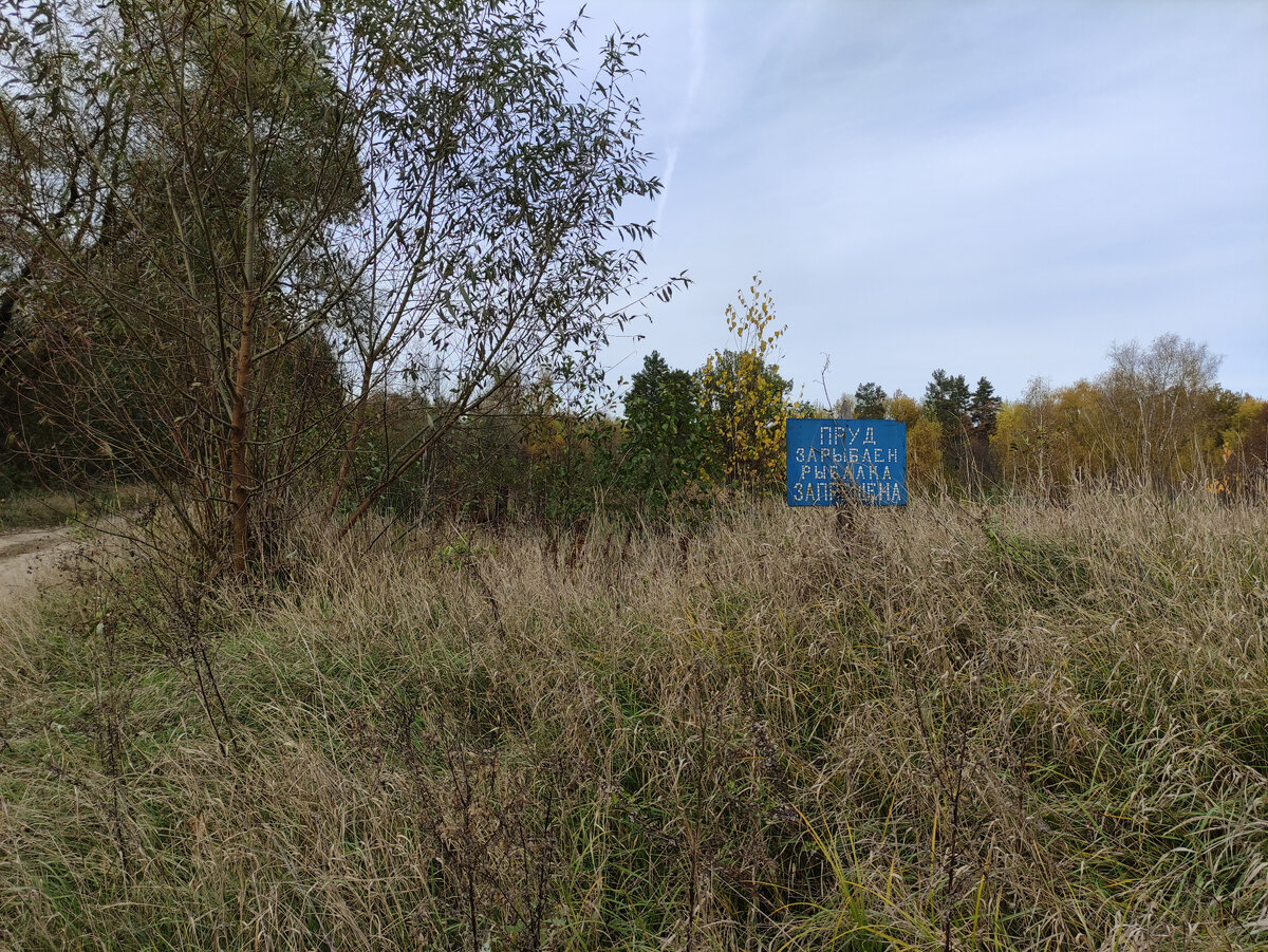 Настоящая деревянная Русь в лесной глуши. Думали, что эта деревня  заброшена, но оказалось все не так | МИР ПРОШЛОГО | Дзен