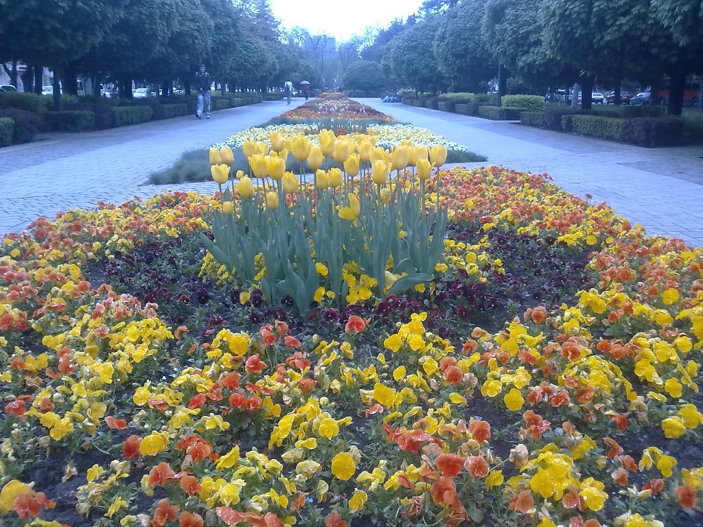 Бульвар на Красной в те времена, когда Краснодар был еще пустым. фото автора 