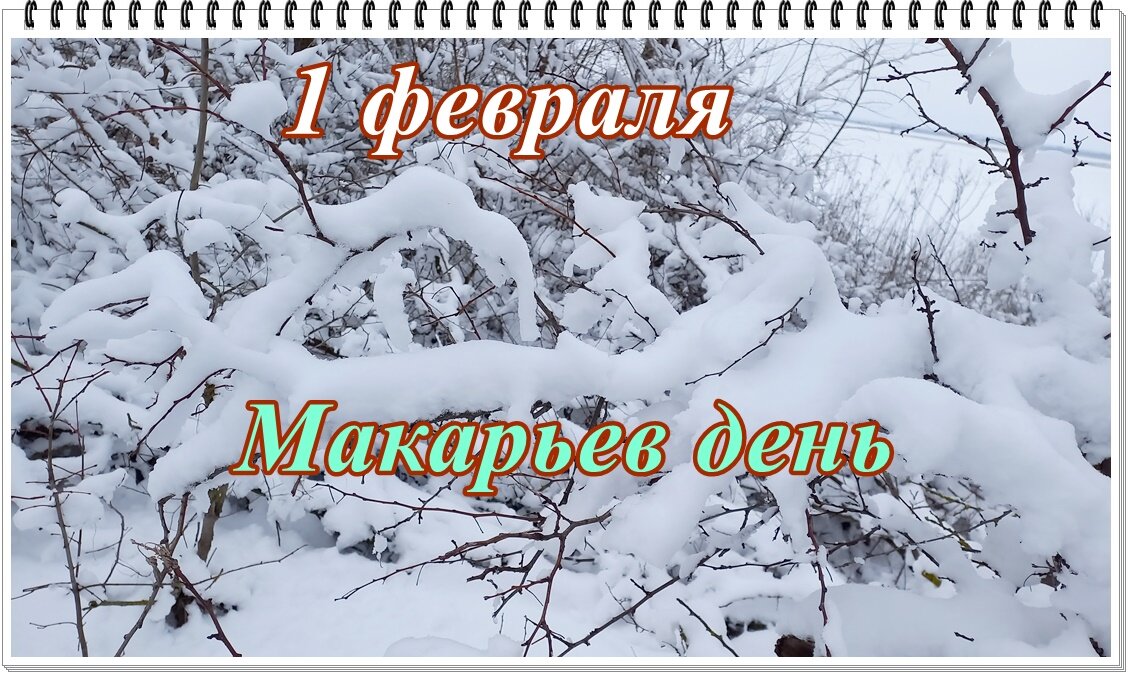 Февраль первое картинки. 1 Февраля Макарьин день. 1 Февраля Макарьев день народный календарь. Первое февраля Макарьев день.