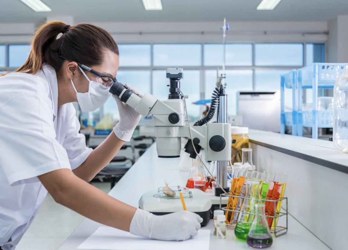 Яндекс Картинки.