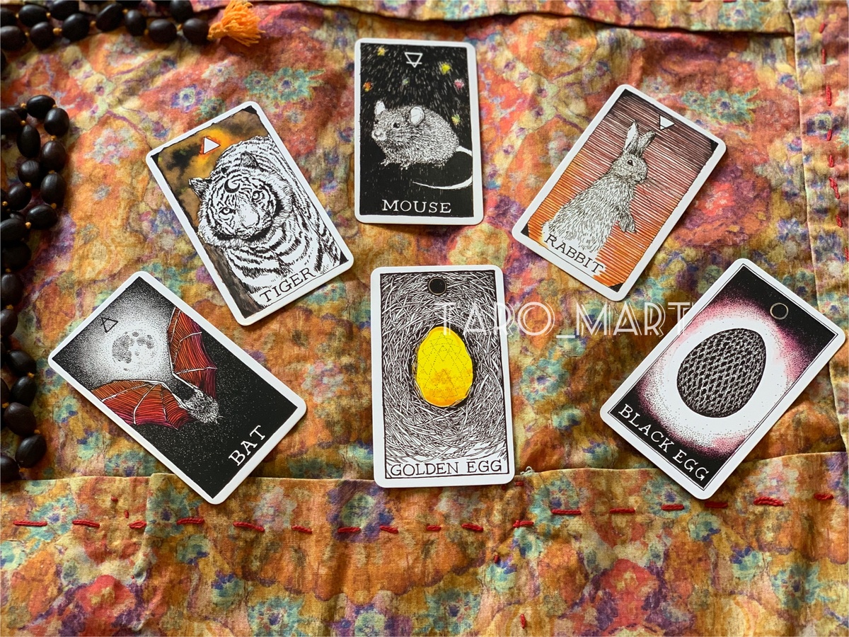 Фото из личной коллекции автора 