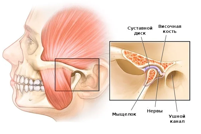 Почему щелкает челюсть: причины и лечение